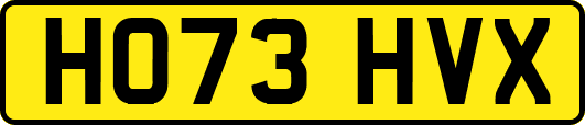 HO73HVX