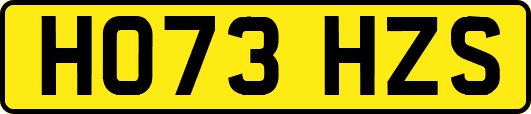 HO73HZS