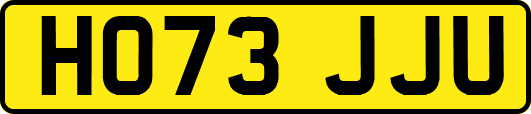 HO73JJU