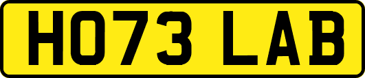 HO73LAB