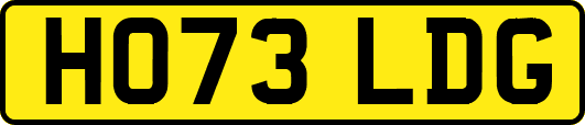 HO73LDG