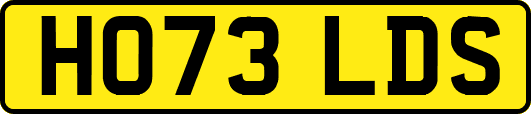 HO73LDS
