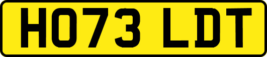 HO73LDT