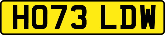 HO73LDW