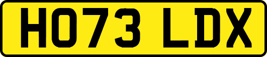HO73LDX