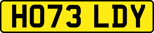 HO73LDY
