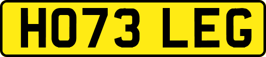 HO73LEG
