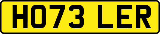 HO73LER