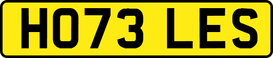HO73LES