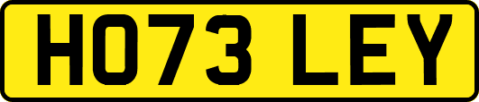 HO73LEY