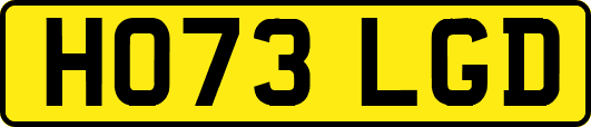 HO73LGD