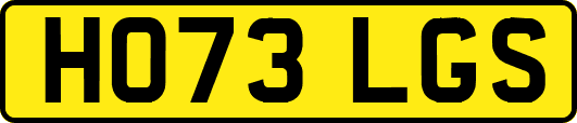 HO73LGS
