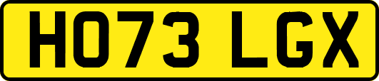 HO73LGX