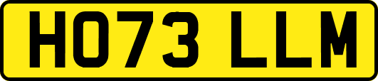 HO73LLM