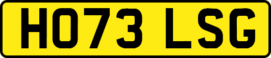 HO73LSG