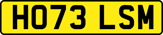 HO73LSM