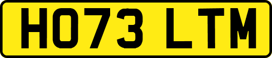 HO73LTM