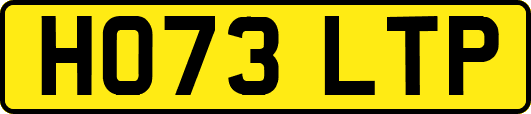 HO73LTP