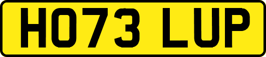 HO73LUP