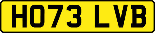 HO73LVB