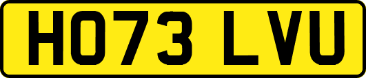 HO73LVU