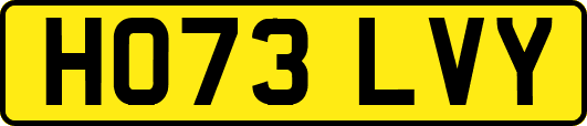HO73LVY
