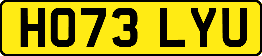 HO73LYU