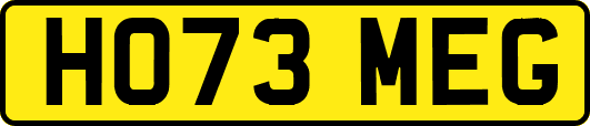 HO73MEG