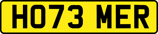 HO73MER