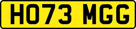 HO73MGG