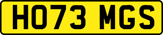 HO73MGS