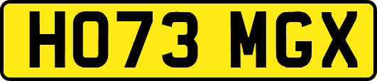 HO73MGX