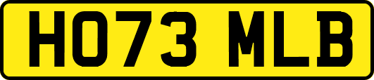 HO73MLB