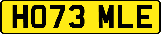 HO73MLE