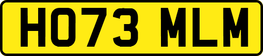HO73MLM