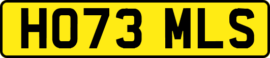 HO73MLS