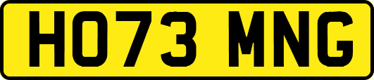 HO73MNG