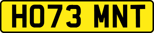 HO73MNT