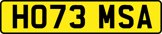 HO73MSA
