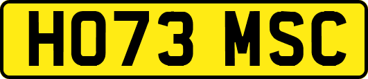 HO73MSC