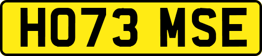 HO73MSE