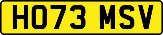 HO73MSV