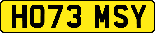 HO73MSY