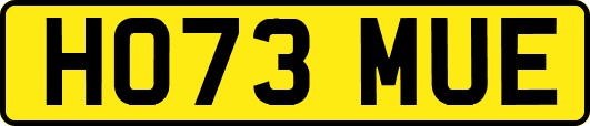 HO73MUE