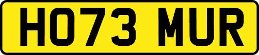 HO73MUR