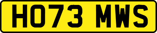 HO73MWS