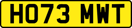 HO73MWT