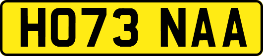 HO73NAA