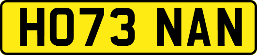 HO73NAN