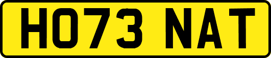 HO73NAT